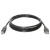 Кабель DEFENDER USB04-10 USB2.0 AM-BM, 3.0 м. (1/50/200) Кабель DEFENDER USB04-10 USB2.0 AM-BM, 3.0 м. (1/50/200)