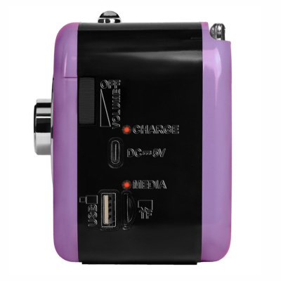 Радиоприемник трёхдиапазонный RITMIX RPR-033 LAVENDER