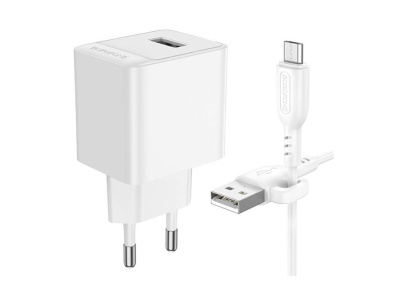 СЗУ Borofone BAS11A Erudite, кабель USB to Micro, белый